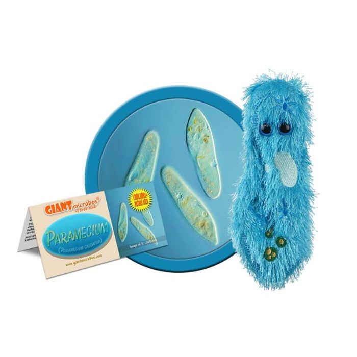 Paramecium plush cluster