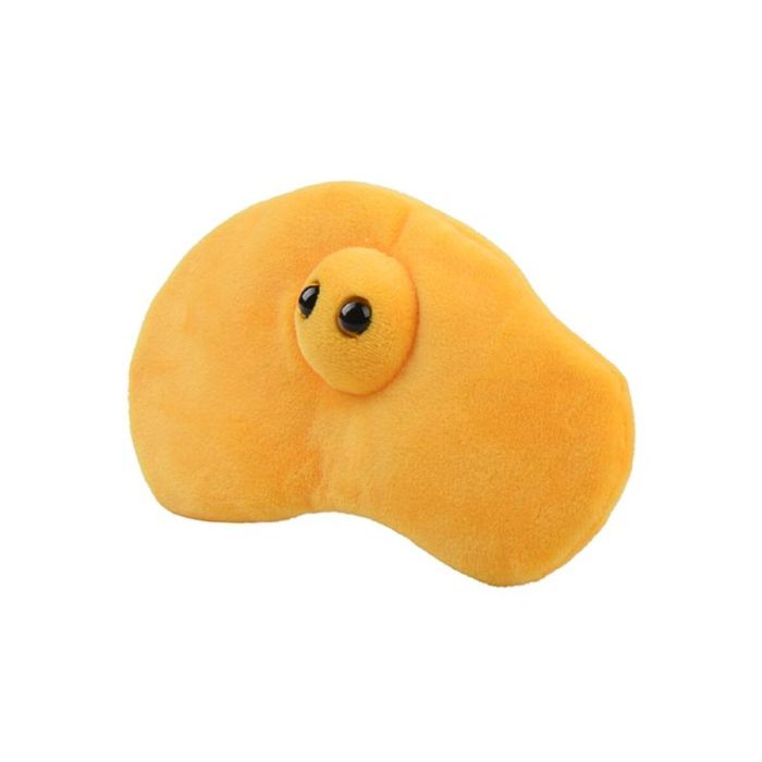 Pee plush angle