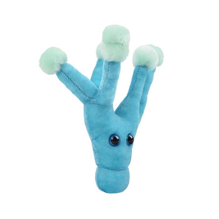 Penicillin plush angle