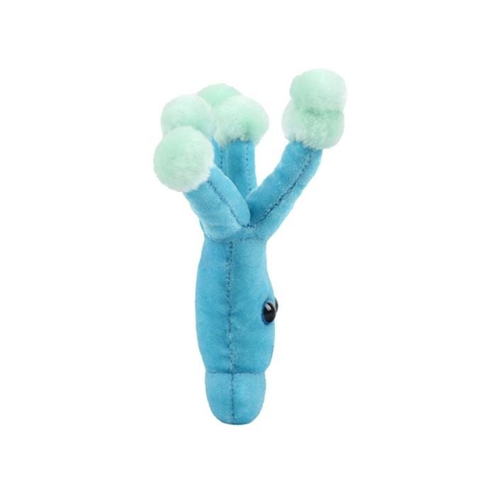 Penicillin plush side