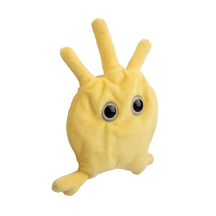 Platelet plush angle