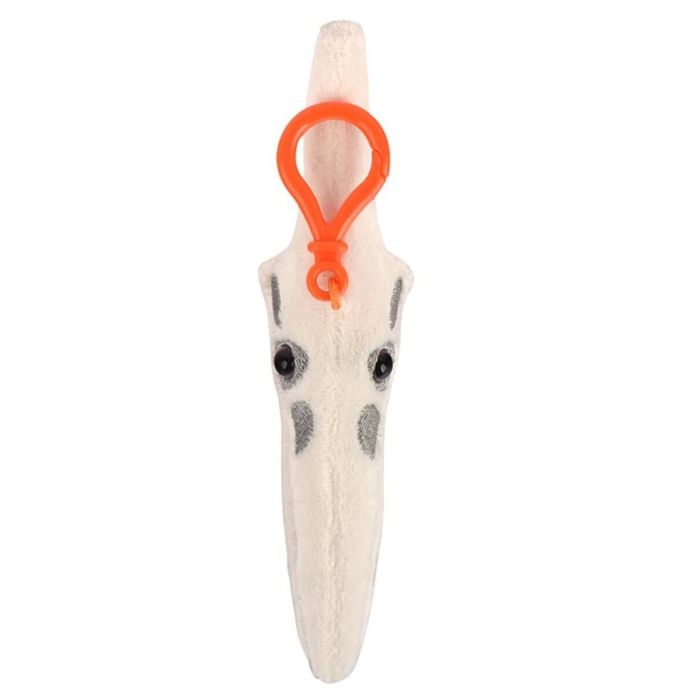 Pteranodon key chain top