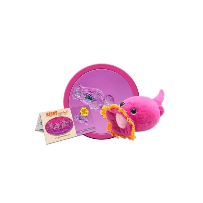 Rotifer plush cluster