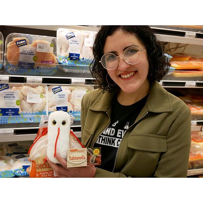 Salmonella raw chicken