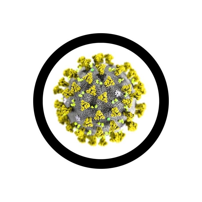 Coronavirus microbial