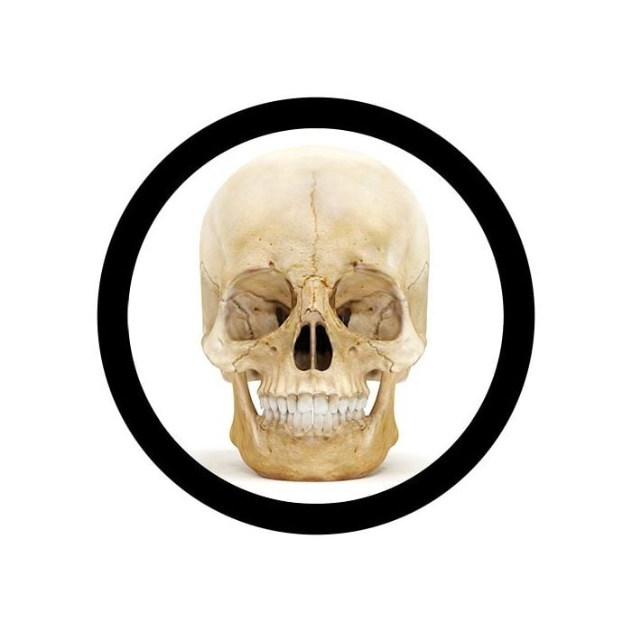 Deluxe Skull real image