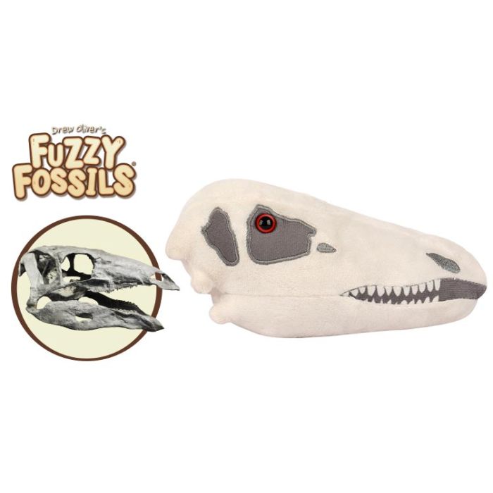 Stegosaurus skull cluster