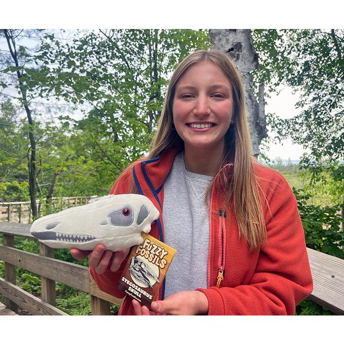 Stegosaurus plush in hand