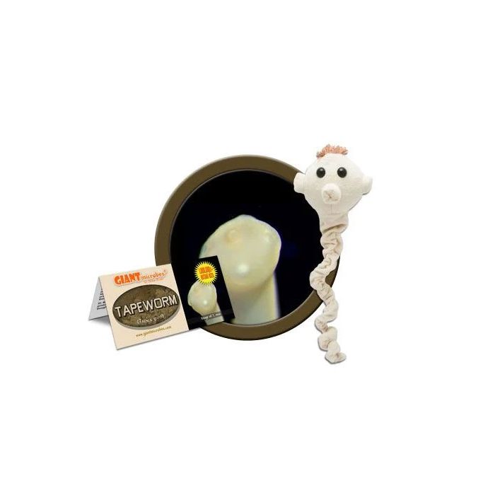 Tapeworm plush cluster