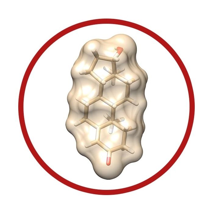 Testosterone molecule