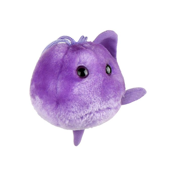 Trichomoniasis plush angle