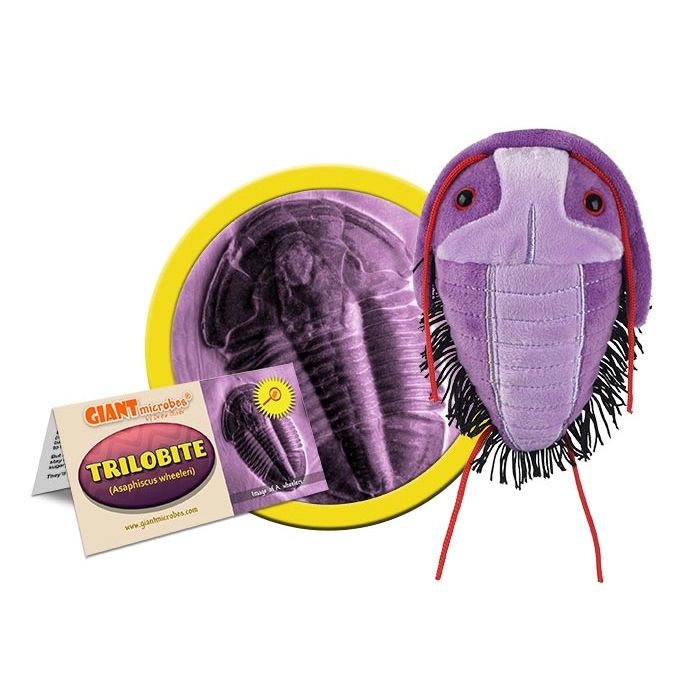 Trilobite plush cluster view