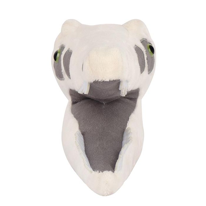 Velociraptor skull front
