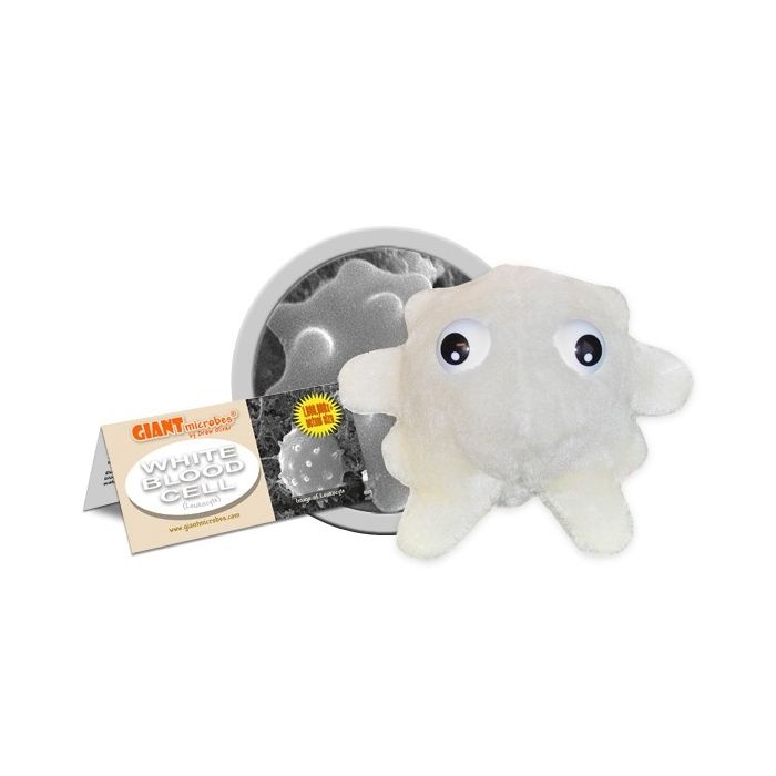 White Blood Cell cluster