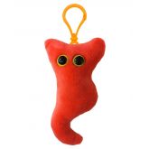 Appendix Key Ring