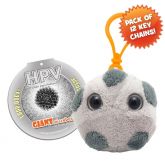 HPV Key Ring 12 Pack