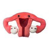 Uterus Gigantic