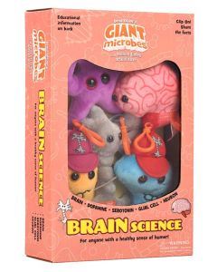 Brain Science box angle