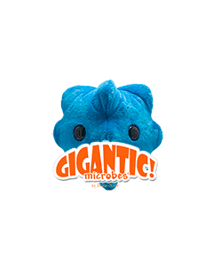 Common Cold Gigantic