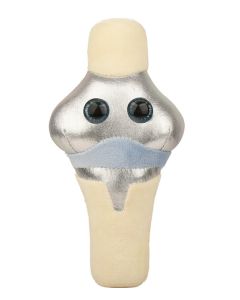 Knee Replacement plush front