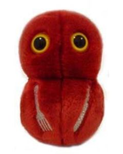 Flesh Eating (Streptococcus pyogenes)