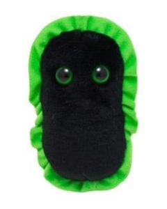 Gangrene (Clostridium perfringens)