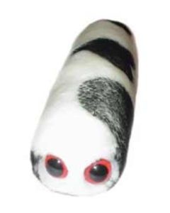 Mad Cow (Bovine Spongiform Encephalopathy)