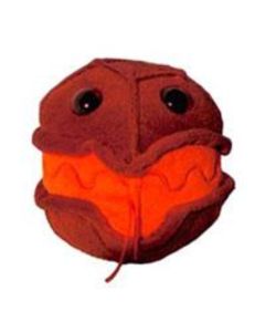 Red Tide (Alexandrium tamarense)