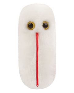 Salmonella plush front