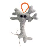 Brain Cell Key Ring