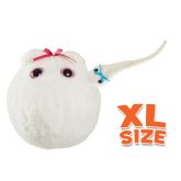 Egg Cell XL 15cm & Mini Magnetic Sperm Cell