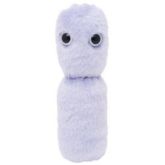 Acidophilus (Lactobacillus acidophilus)