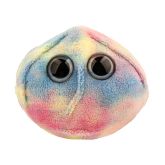 Stem Cell (Stem cell)