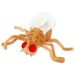 Fruit Fly plush doll