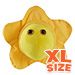 Herpes (Herpes Simplex Virus 2) XL Size