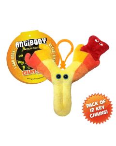 Antibody Key Ring