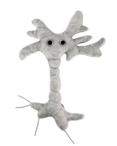 Brain Cell doll