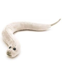 C. Elegans plush doll