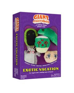 Exotic Vacation