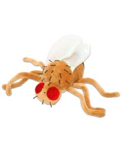 Fruit Fly plush doll