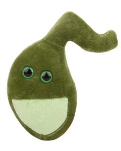 Gallbladder plush keychain