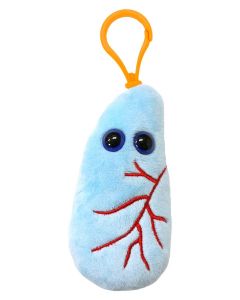 Lung key ring