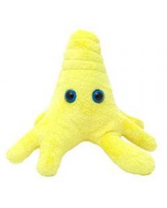 Amoeba yellow doll