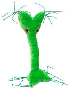 Nerve Cell doll