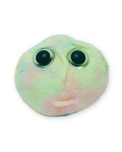 Stem Cell doll