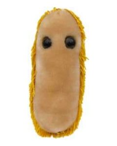 Stomach Cell doll