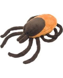 Tick (Ixodes scapularis)