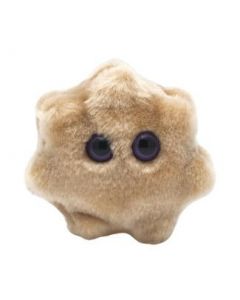 Rotavirus plush doll