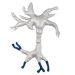 New Brain Cell gigantic plush back