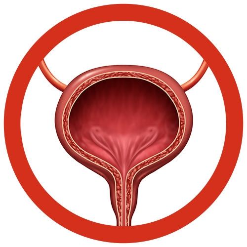 Bladder real image